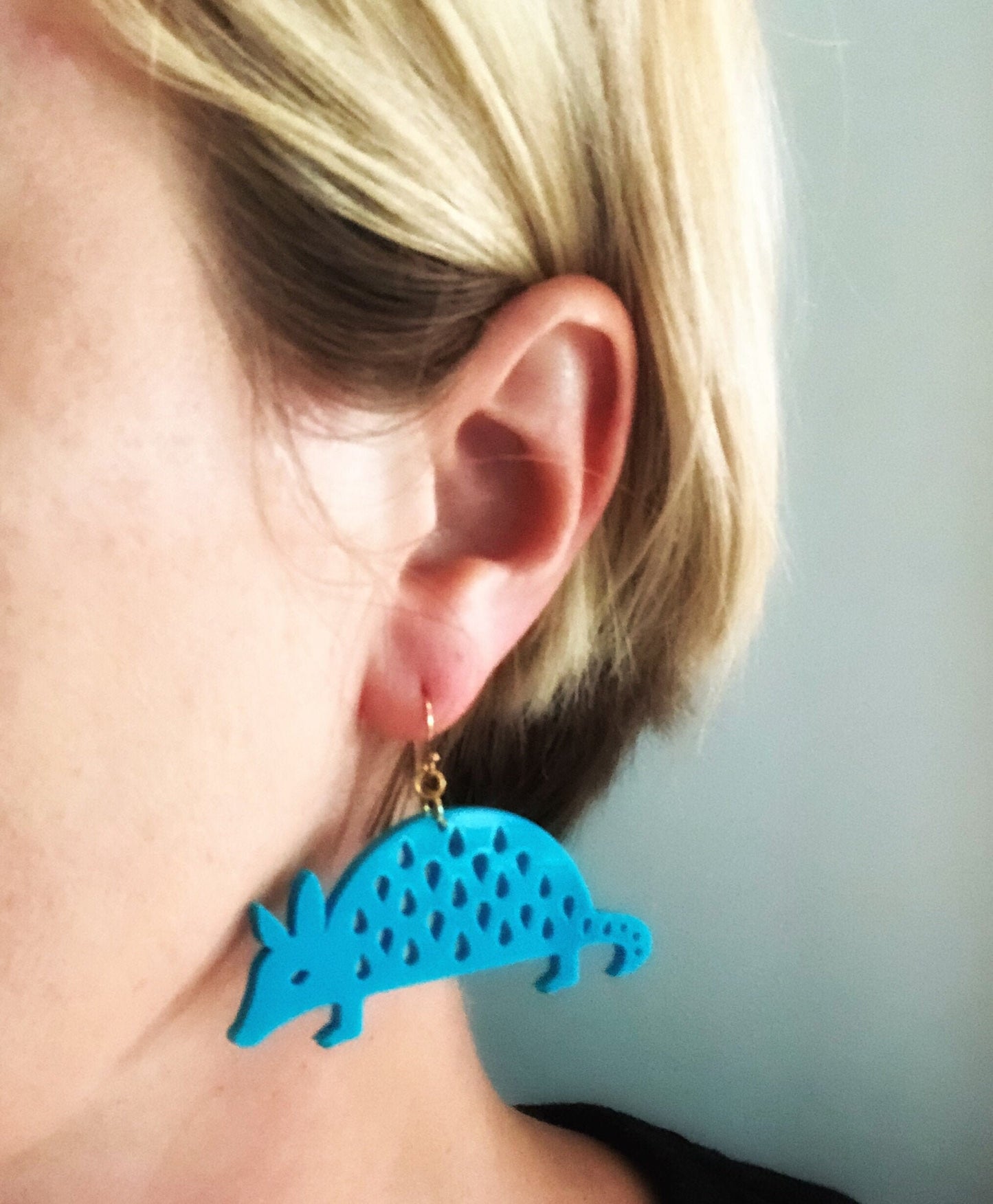 Armadillo Earrings