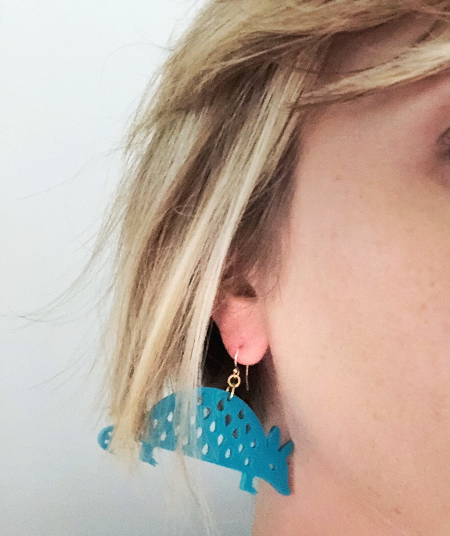 Armadillo Earrings