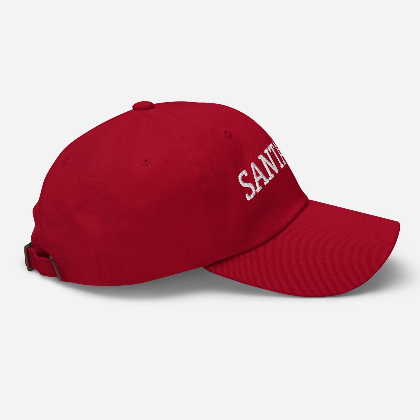 Santa Hat - Dad Hat