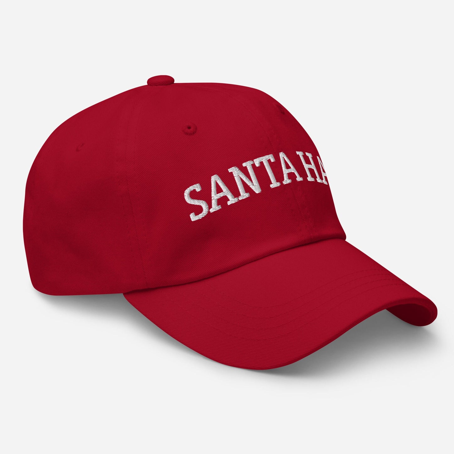 Santa Hat - Dad Hat