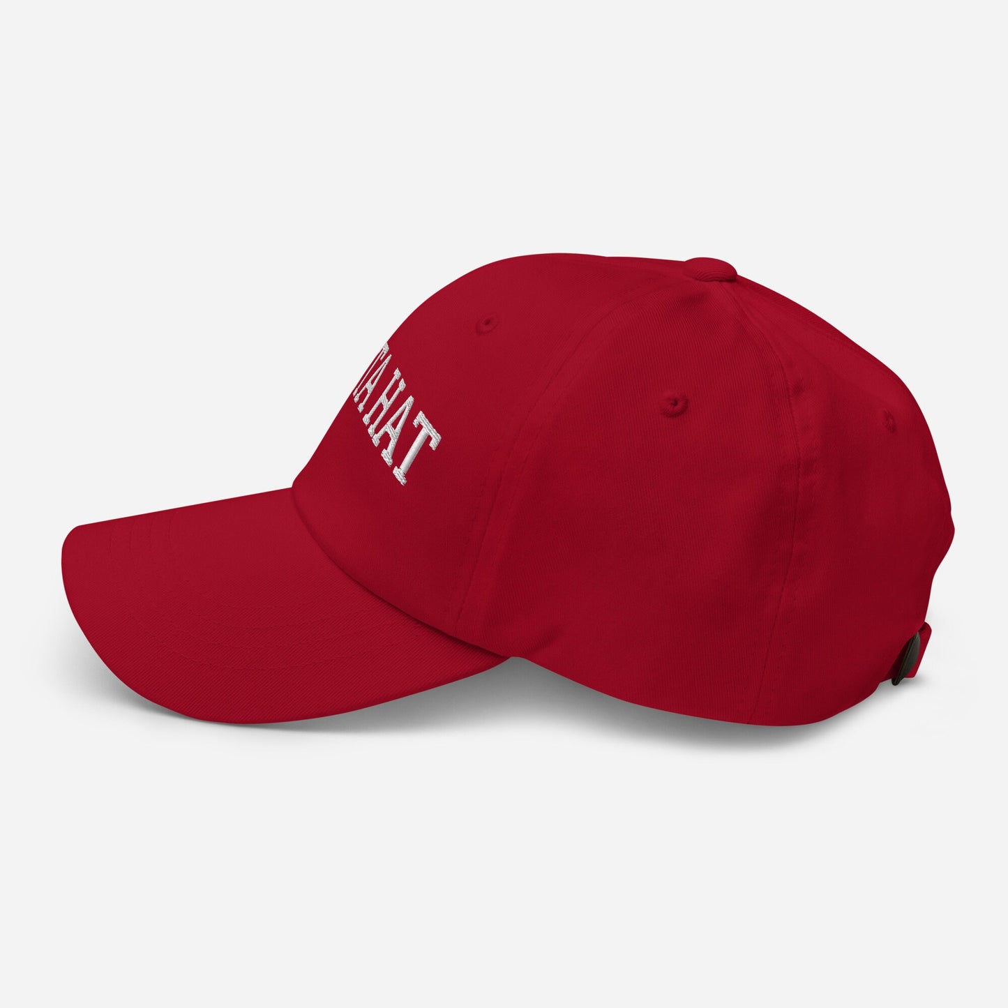 Santa Hat - Dad Hat